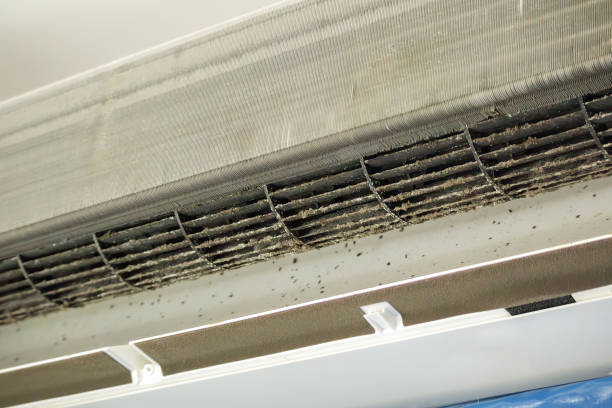 Best Emergency Air Duct Cleaning  in Savage, MD